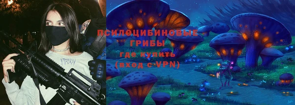 ГАЛЛЮЦИНОГЕННЫЕ ГРИБЫ Володарск